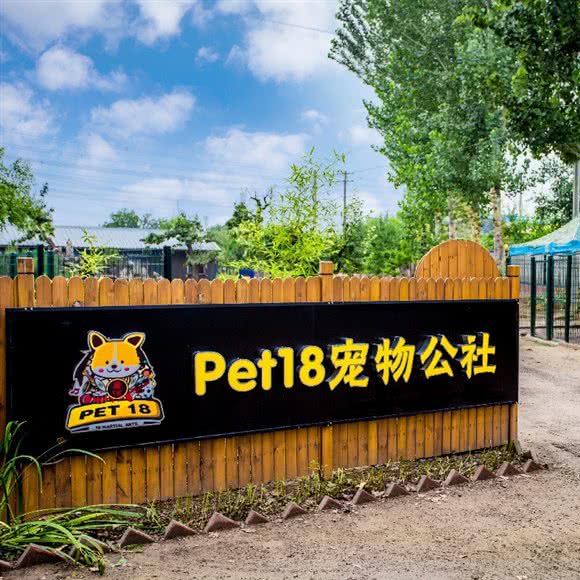 pet18宠物公社:北京城区顺义区