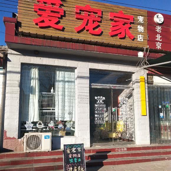 爱宠家宠物店:北京城区顺义区