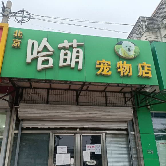 北京哈萌宠物店:北京城区顺义区