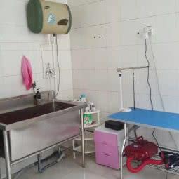 卓越星辰宠物俱乐部:北京城区顺义区