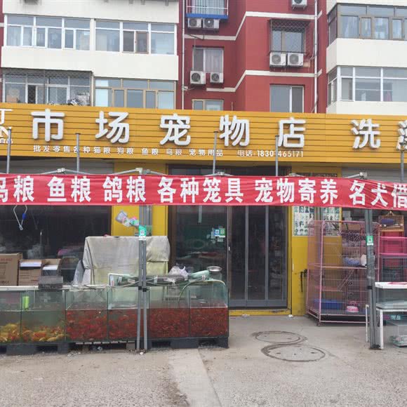 奥丁市场宠物店:北京城区顺义区