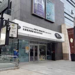 悠悠爱宠:北京城区顺义区