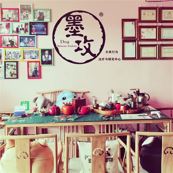 墨攻犬类行为治疗与研究中心:北京城区顺义区