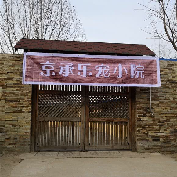 京承乐宠小楼:北京城区顺义区