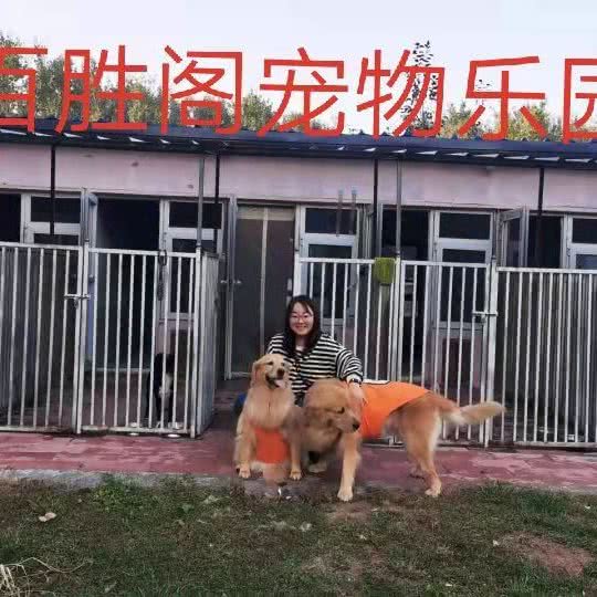 百胜阁宠物乐园(乐乐宠物寄养):北京城区顺义区
