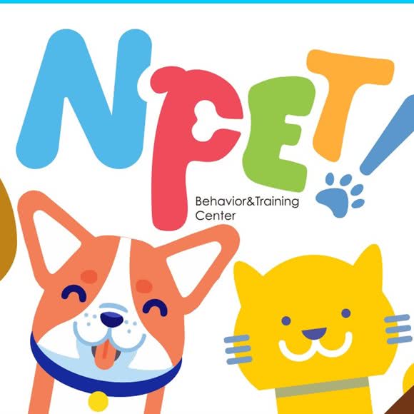 毛怪兽训练寄养中心:北京城区顺义区