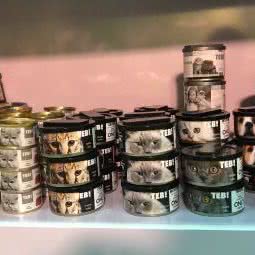 旺家狗狗:北京城区顺义区