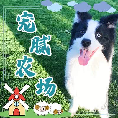 宠腻农场:北京城区顺义区