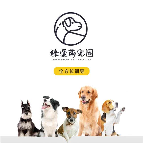 臻爱萌宠寄养:北京城区顺义区