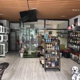 非宠勿扰:北京城区顺义区