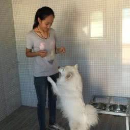 北京犬之声宠物寄养训练学校:北京城区顺义区