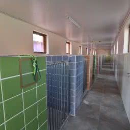 彩虹萌宠寄养乐园:北京城区顺义区