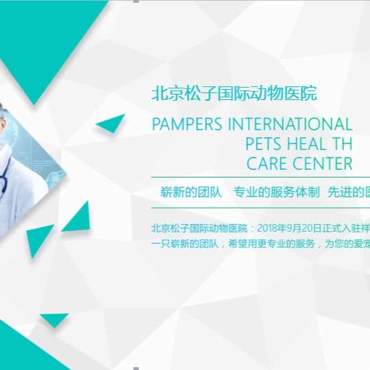 北京松子国际动物医院:北京城区顺义区