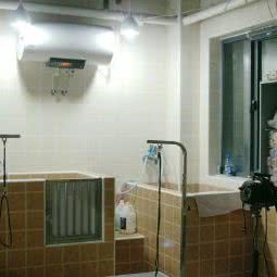 派多格宠物店(新干线店):北京城区昌平区