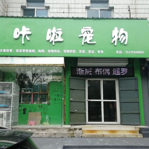 咔啦狗狗:邯郸市复兴区赵苑附近