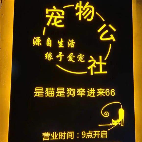 宠物人民公社:邯郸市复兴区赵苑附近