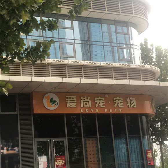 爱尚宠宠物:北京城区大兴区