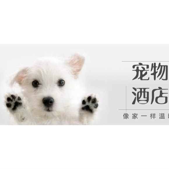 尖叫盒子BARK BOX宠物酒店:北京城区大兴区