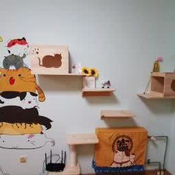 刘小猫de猫:北京城区大兴区