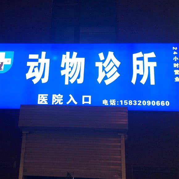 鸿苑宠物医院:邯郸市复兴区赵苑附近