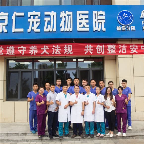 北京仁宠动物医院(榆垡分院):北京城区大兴区