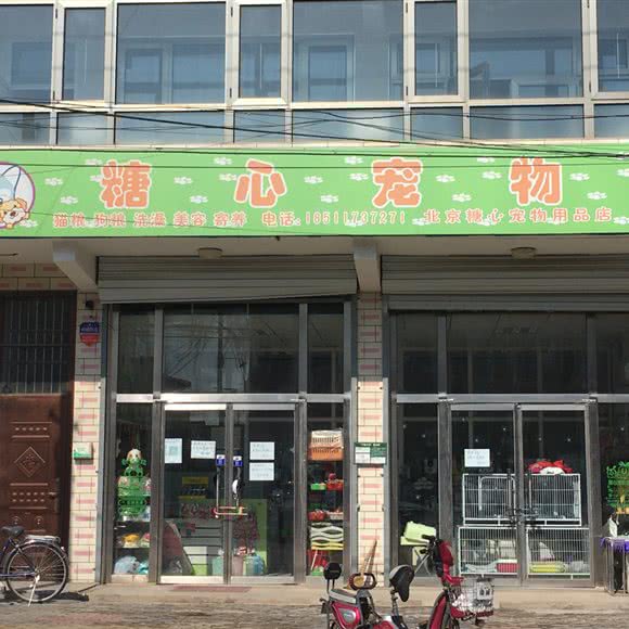 糖心宠物:北京城区平谷区