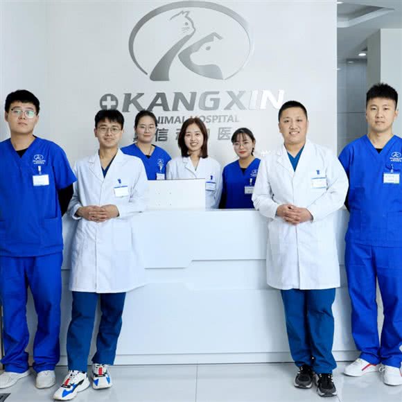 康信常营动物医院(常营店):北京城区朝阳区常营附近