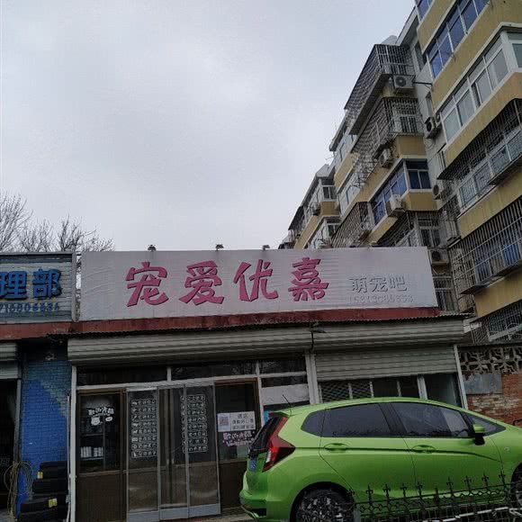 宠爱优嘉萌宠吧:北京城区密云区