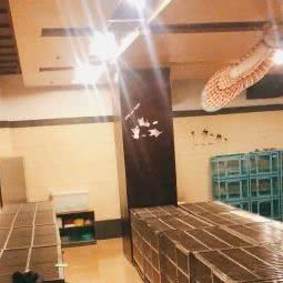 宠物室:北京城区密云区