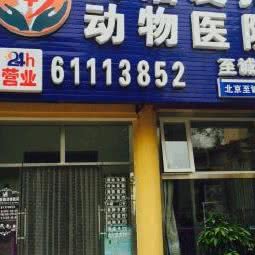 爱狗爱狗动物医院至诚分院:北京城区延庆区