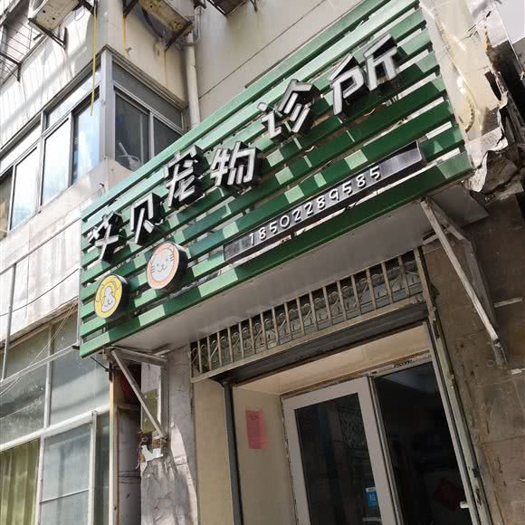 艾贝宠物诊所:天津城区和平区
