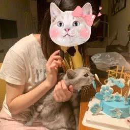 Forever Pets高端宠物蛋糕烘焙工作室:天津城区河西区