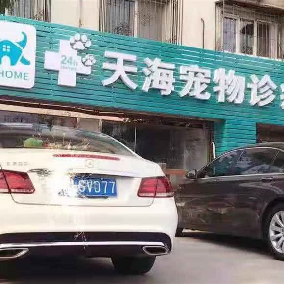 天海狗狗诊疗中心:天津城区红桥区