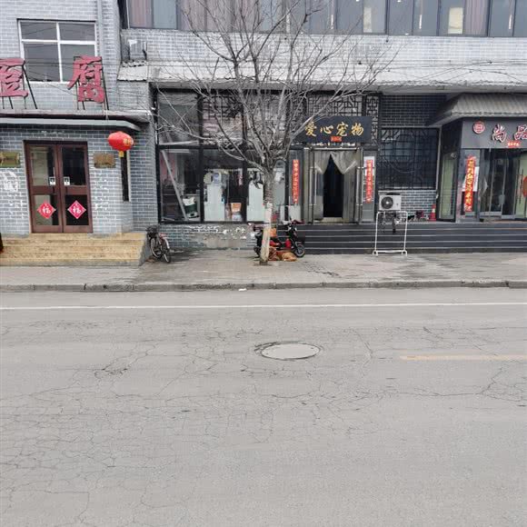 爱心宠物:邯郸市峰峰矿区峰峰矿区中心城区附近