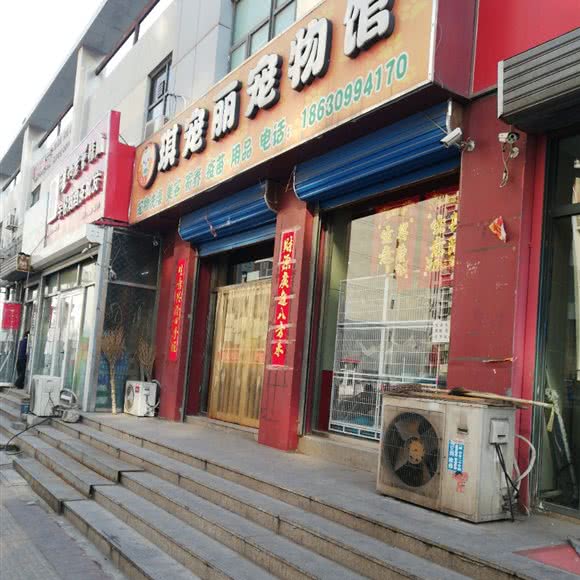 琪宠丽宠物诊所:天津城区东丽区