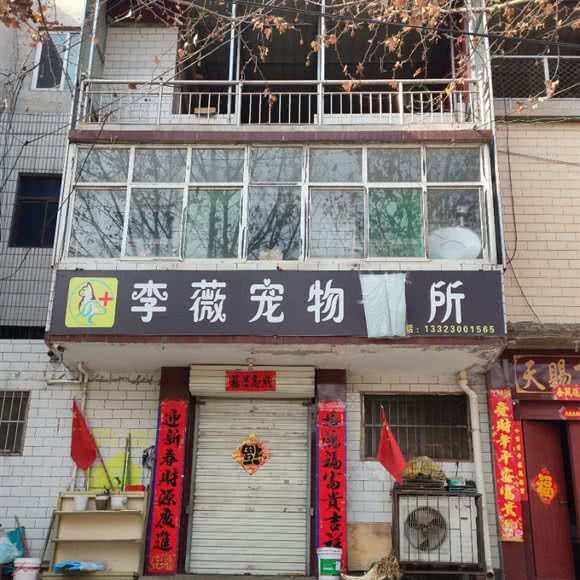 李薇狗狗诊所:邯郸市峰峰矿区峰峰矿区中心城区附近