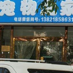 博美犬舍宠物之家:天津城区津南区