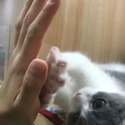 酷狗宠物生活馆:天津城区津南区