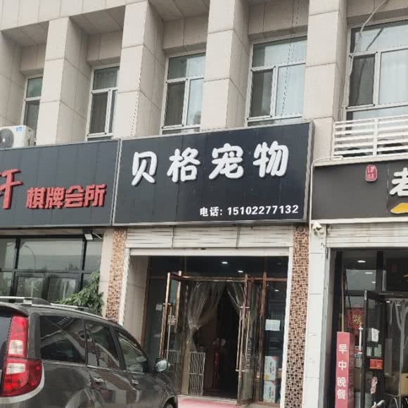 贝格宠物:天津城区北辰区