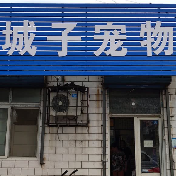 大城子宠物用品店(云鼎道):天津城区北辰区