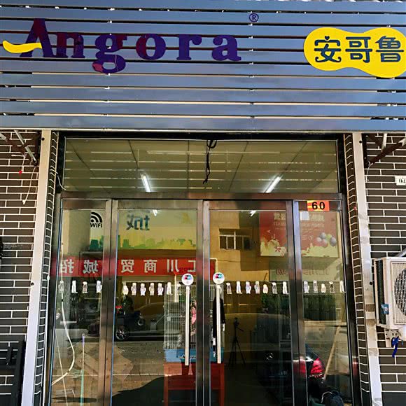 天津安哥鲁宠物貂专卖店:天津城区北辰区