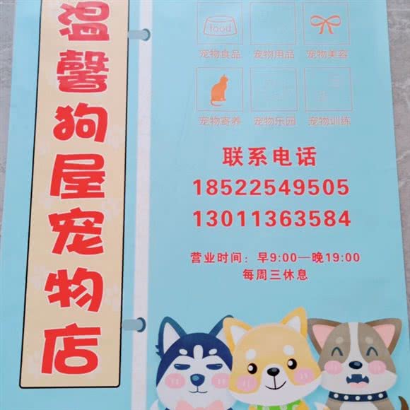 温馨宠物寄养店:天津城区北辰区