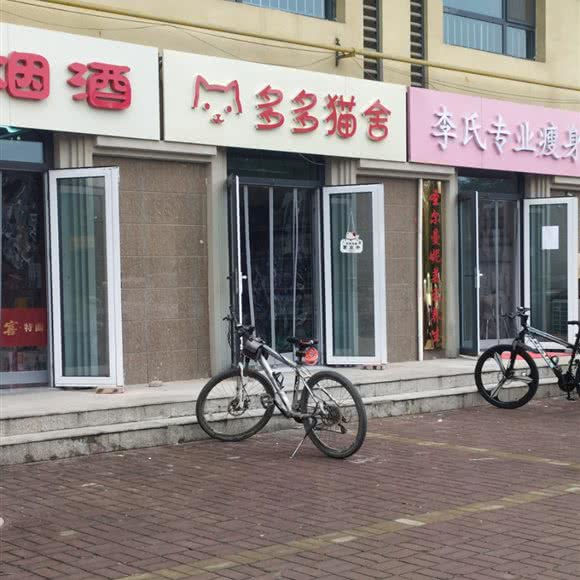 多多猫舍:邢台市襄都区天一城附近