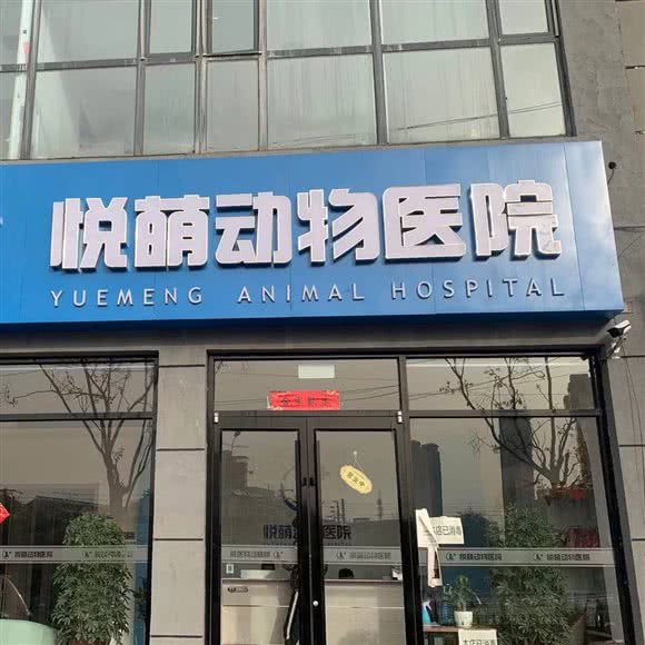悦萌动物医院:邢台市襄都区天一城附近