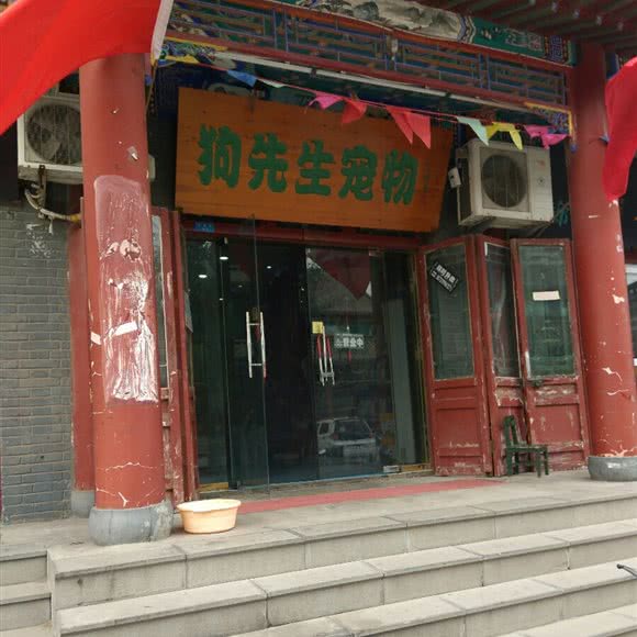 狗先生宠物:邢台市襄都区中北商城附近