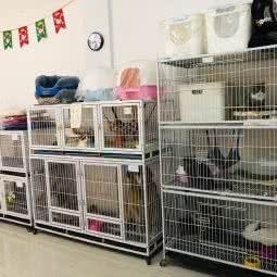 萌宠小世界:天津城区静海区