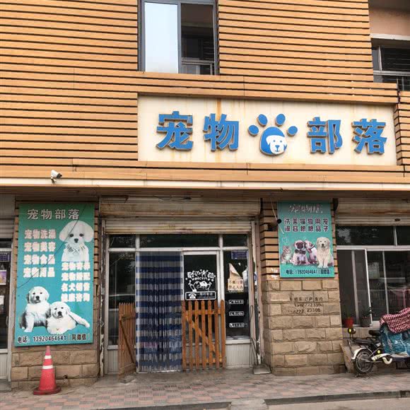 宠物部落:天津城区静海区