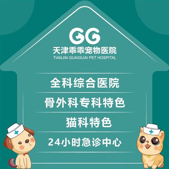 乖乖宠物医院(静海分院)24小时:天津城区静海区