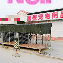 全盛宠物用品:天津城区静海区