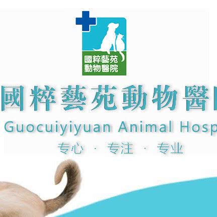 国粹艺苑动物医院:北京城区东城区东四附近